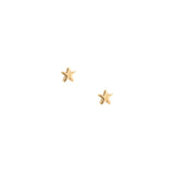 Star Shaped Studs, 14k Gold Vermeil (Copy)