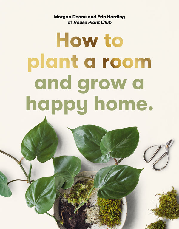 How to Plant a Room and Grow a Happy Home