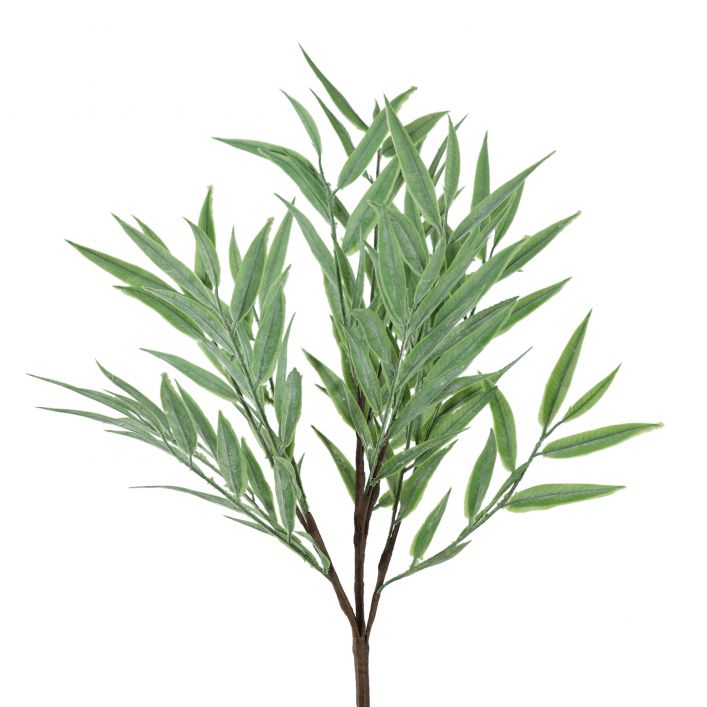 Silver Leaf Bush Spray